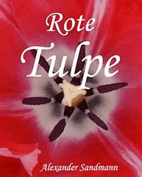 Rote Tulpe - Alexander Sandmann - ebook