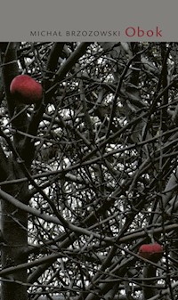 Obok - Brzozowski Michał - książka