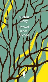 Pozwól rzece płynąć - Michał Cichy - ebook + książka