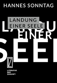 Landung einer Seele - Hannes Sonntag - ebook