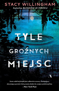 Tyle groźnych miejsc - Stacy Willingham - ebook + audiobook + książka