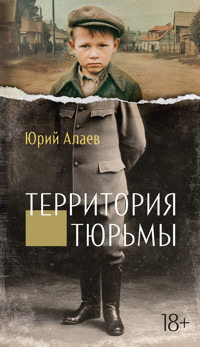 Территория тюрьмы - Юрий Алаев - ebook