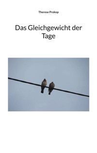 Das Gleichgewicht der Tage - Therese Prokop - ebook