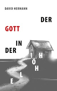 Der Gott in der Höhle - David Hermann - ebook