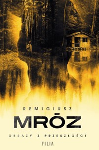 Obrazy z przeszłości - Remigiusz Mróz - ebook + audiobook + książka