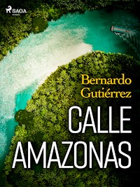 Calle Amazonas - Bernardo Gutiérrez González - ebook