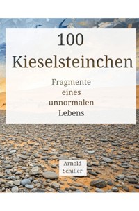 100 Kieselsteinchen - Arnold Schiller - ebook