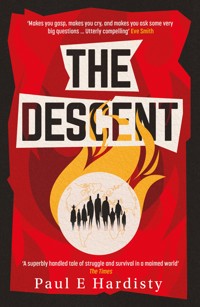 The Descent - Paul E. Hardisty - ebook