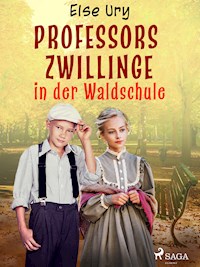 Professors Zwillinge in der Waldschule - Else Ury - ebook