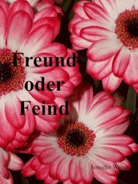 Freund oder Feind - Jennifer Weise - ebook