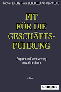 Fit für die Geschäftsführung - Michael Lorenz - ebook