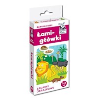 Łamigłówki Zagadki obrazkowe - Minge Natalia, Minge Krzysztof - książka