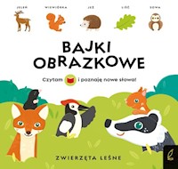 Bajki obrazkowe Zwierzęta leśne - Wojtkowiak-Skóra Patrycja - książka