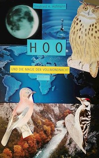 HOO - Siegfried, Hans Hofmann - ebook