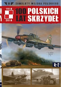 100 lat polskich skrzydeł Tom 35 Ił 2 -  - książka