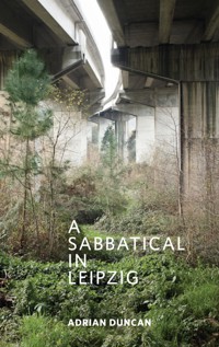 A Sabbatical In Leipzig - Adrian Duncan - ebook