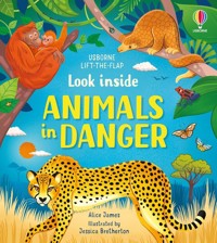 Look inside Animals in Danger - James Alice - książka