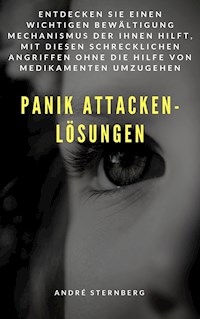 Panik Attacken - Lösungen - Andre Sternberg - ebook