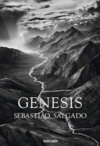 Genesis - Salgado Sebastiao, Wanick Salgado Lélia - książka