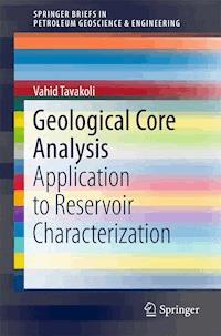 Geological Core Analysis - Vahid Tavakoli - ebook