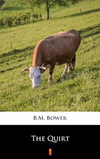 The Quirt - B.M. Bower - ebook