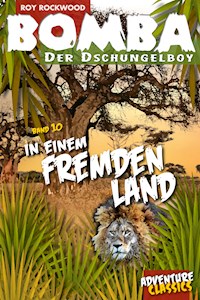 Bomba in einem fremden Land - Roy Rockwood - ebook