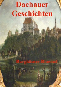 Dachauer Geschichten - Burghäuser Bluemel - ebook
