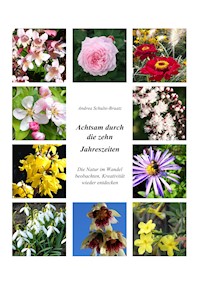 Achtsam durch die zehn Jahreszeiten - Andrea Schulte-Braatz - ebook
