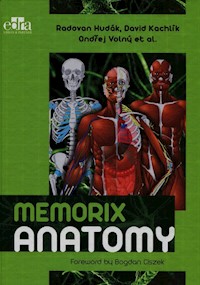 Memorix Anatomy - Hudak Radovan, Kachlik David, Volny Ondrej - książka