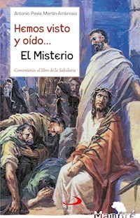 Hemos visto y oído... El Misterio - Antonio Pavía Martín-Ambrosio - ebook