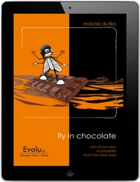 Fly in chocolate. Zen of success - Maciej Dutko - ebook