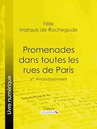 Promenades dans toutes les rues de Paris - Félix Marquis de Rochegude - ebook