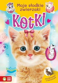 Moje słodkie zwierzaki. Kotki - zbiorowa praca - książka