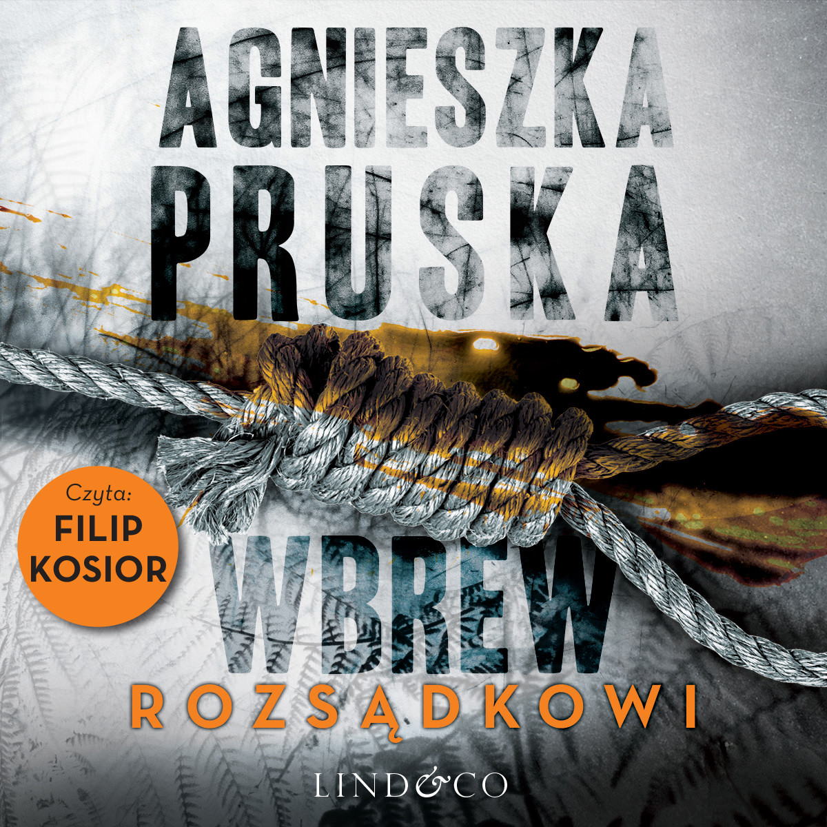 Wbrew rozsądkowi. Szajba, tom 1