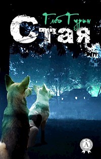 Стая - Глеб Гурин - ebook