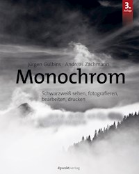 Monochrom - Jürgen Gulbins - ebook