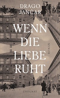 Wenn die Liebe ruht - Drago Jančar - ebook