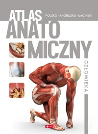 Atlas anatomiczny człowieka -  - książka