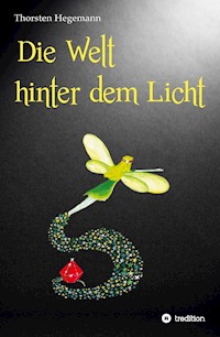 Die Welt hinter dem Licht - Thorsten Hegemann - ebook