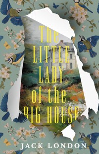 The Little Lady of the Big House - Jack London - ebook
