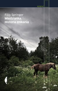 Miedzianka Historia znikania - Filip Springer - książka