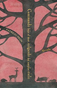 Caminando bajo el mar, colgando del amplio cielo - Patricio Pron - ebook