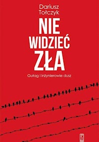 Nie widzieć zła - Tołczyk Dariusz - książka