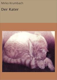 Der Kater - Mirko Krumbach - ebook
