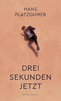Drei Sekunden Jetzt - Hans Platzgumer - ebook