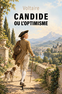 Candide, ou l'Optimisme - Voltaire - ebook