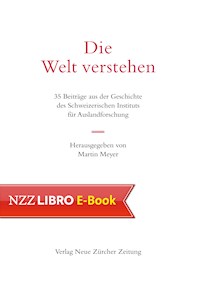 Die Welt verstehen -  - ebook
