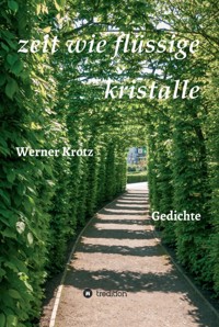 zeit wie flüssige kristalle - Werner Krotz - ebook
