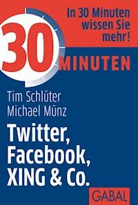 30 Minuten Twitter, Facebook, XING & Co. - Tim Schlüter - ebook