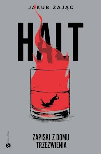 HALT. Zapiski z domu trzeźwienia - Zając Jakub - ebook